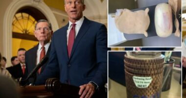 TSA has seized drugs, guns â despite Dem-fueled funding freeze that's kept workers on furlough